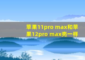 苹果11pro max和苹果12pro max壳一样